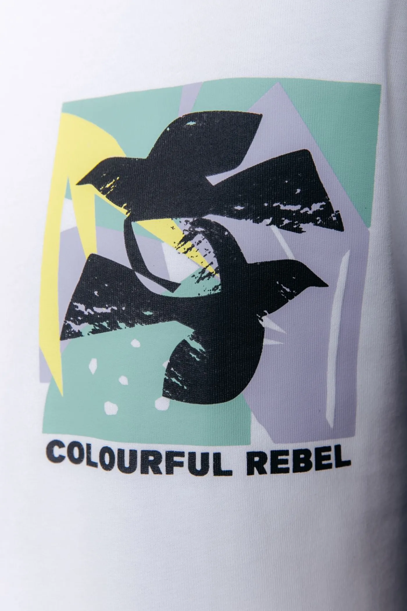 Birds Frame Basic Tee