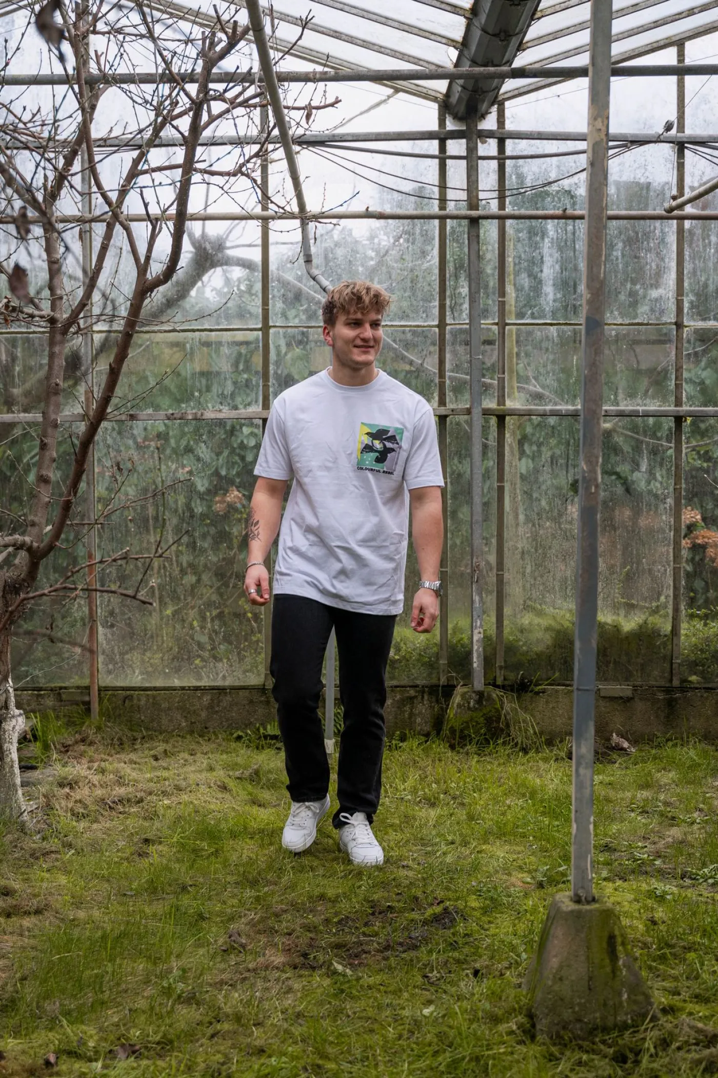 Birds Frame Basic Tee