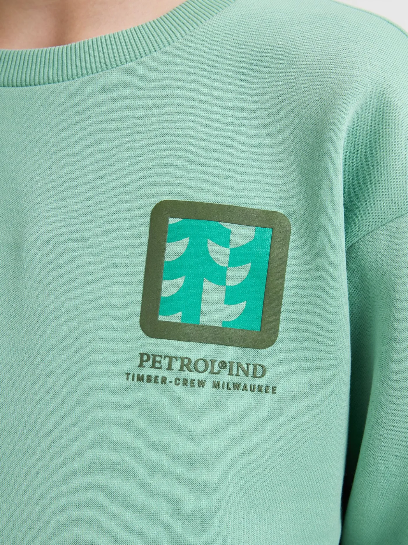 Boys Sweater Round Neck Print