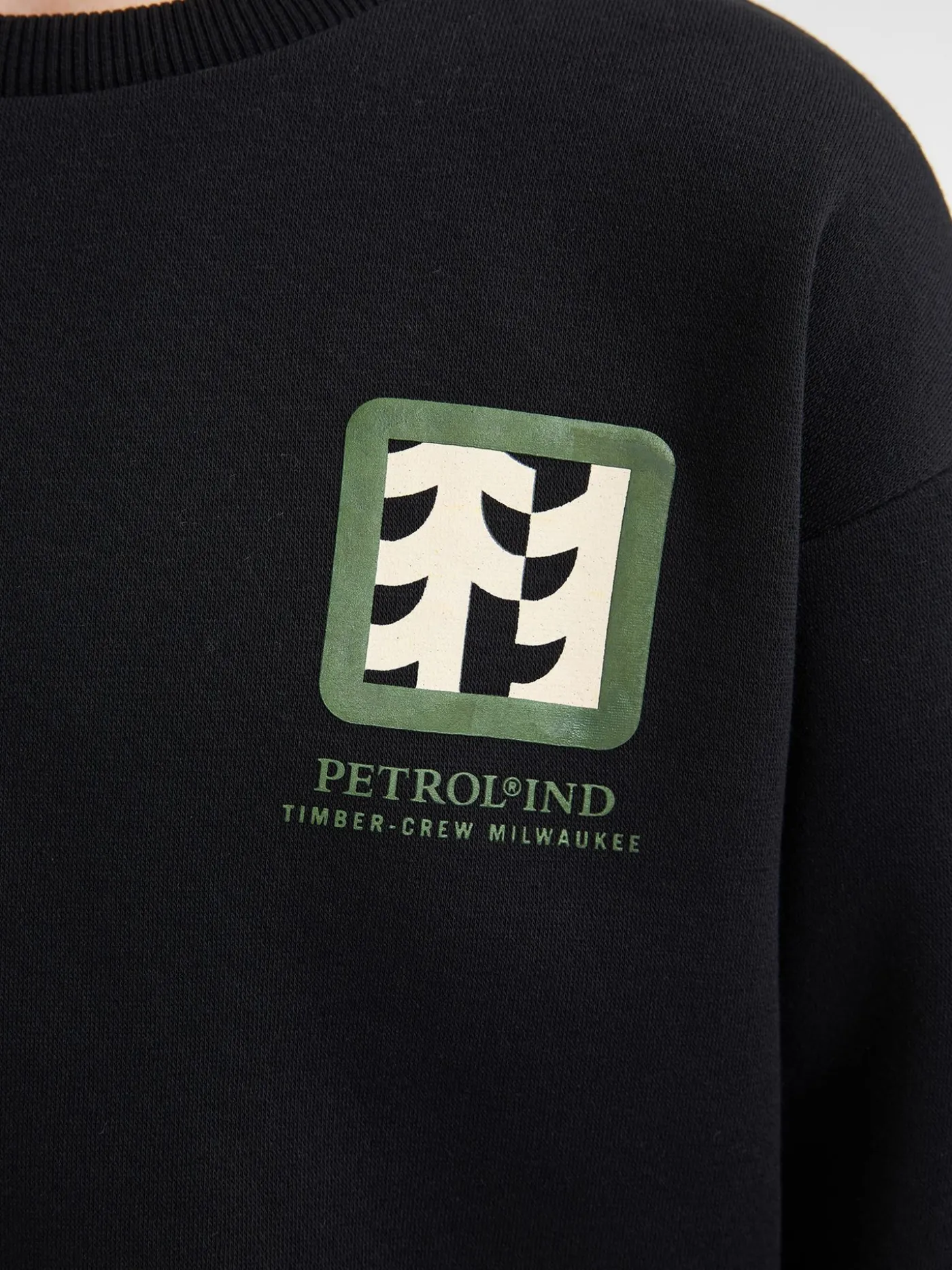 Boys Sweater Round Neck Print