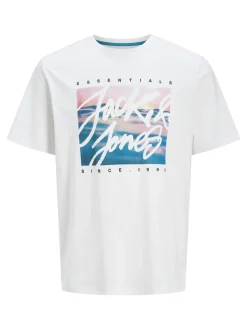 JJCOLTON PHOTOPRINT TEE SS CREW NE