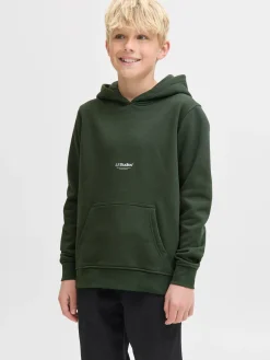 JJESOHO SWEAT HOOD NOOS JNR