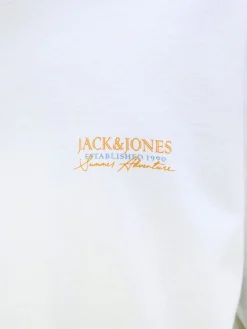 JJSUMMER VIBES TEE SS CREW NECK LN