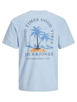 JJSUMMER VIBES TEE SS CREW NECK JNR