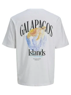 JORCONTE TEE SS CREW NECK STYD