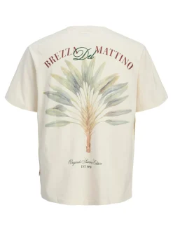 JORHYDRA CUTOUT TEE SS CREW NECK JN