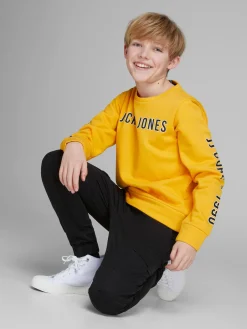 JPSTPAUL JJFLAKE AKM 542 NOOS JNR