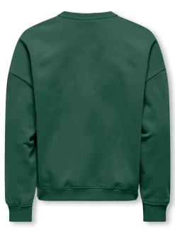 KOGBILA L/S OVZ PRINT O-NECK SWT NO