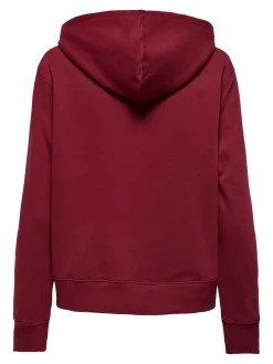 KOGLYNA L/S DETAIL HOOD CS SWT