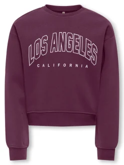 KOGSWEAT LS CREW OVZ STAT SWT NOOS