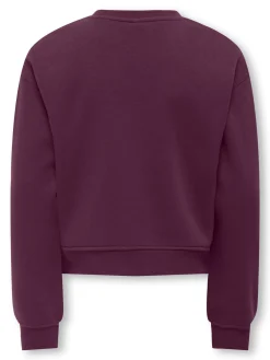 KOGSWEAT LS CREW OVZ STAT SWT NOOS