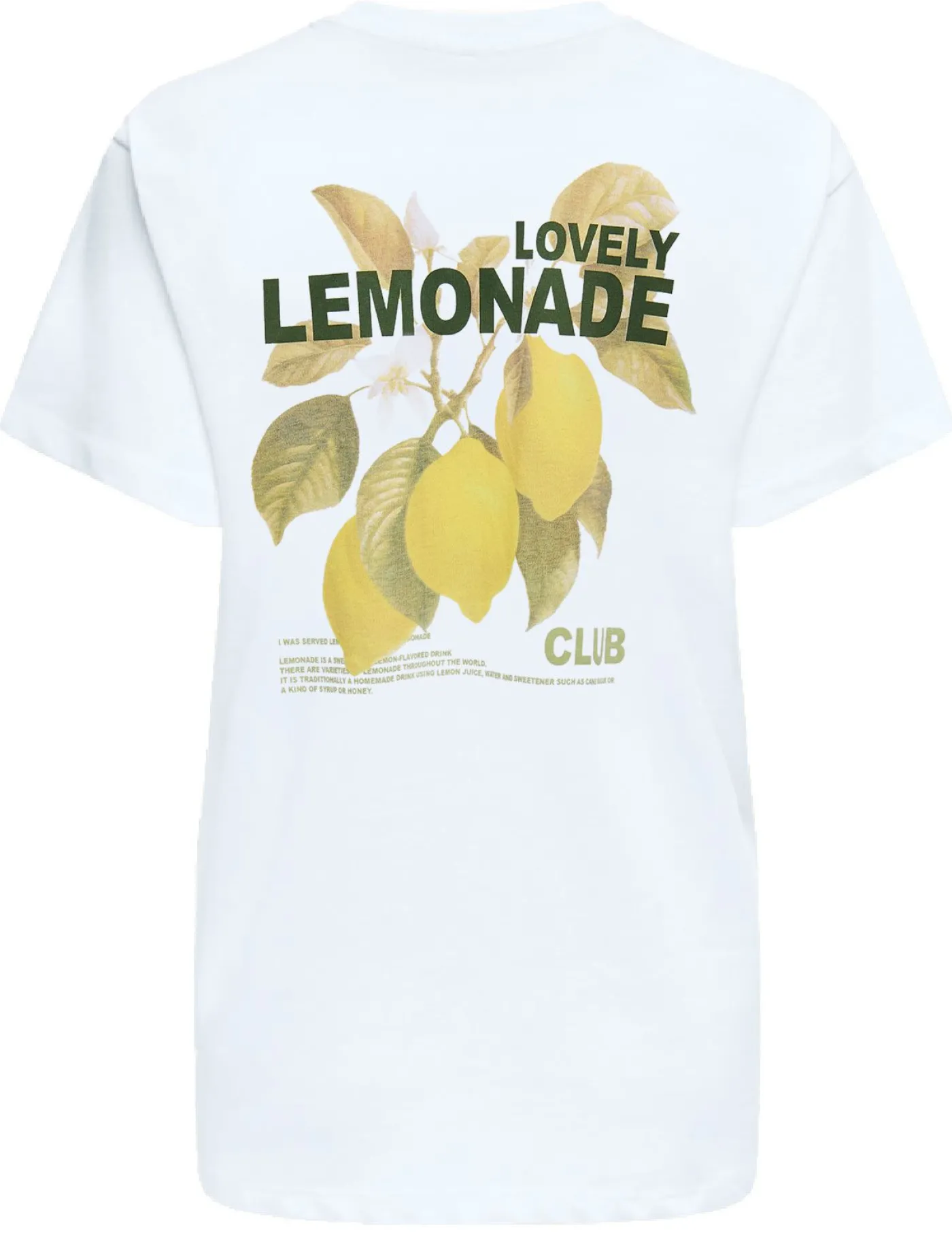 ONLVIVVI LIFE S/S LOVELY TOP CS JRS