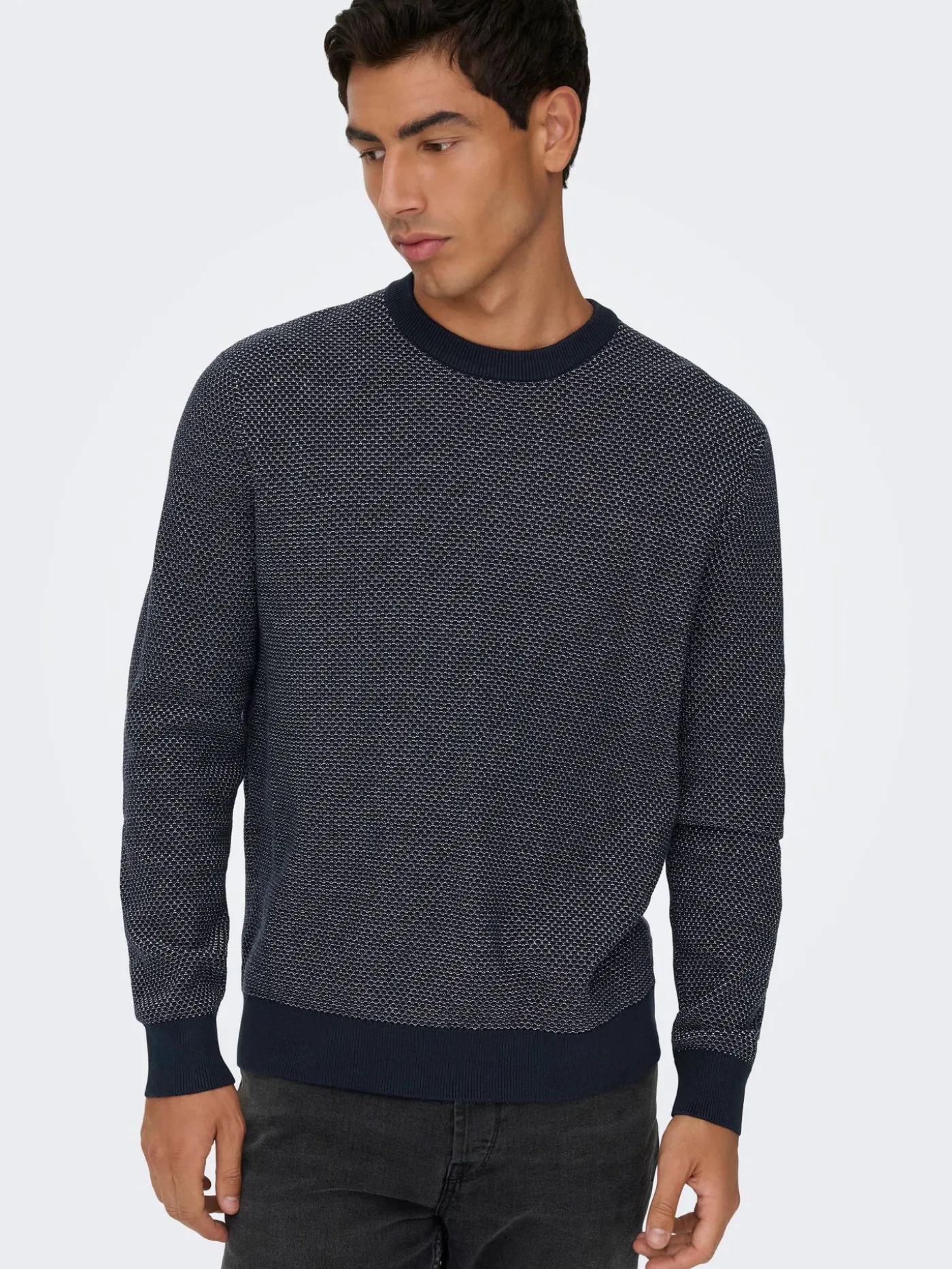 ONSMORGAN 12 STRUCTURE CREW KNIT NO