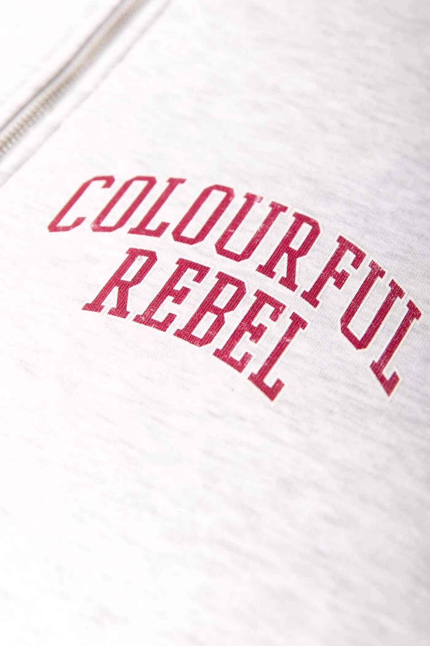 Varsity Logo Relaxed Zip Sweat